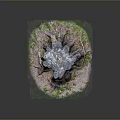 Natural Wooden Stump With Textured Surface And Stone Ground Surrounded By Green Moss